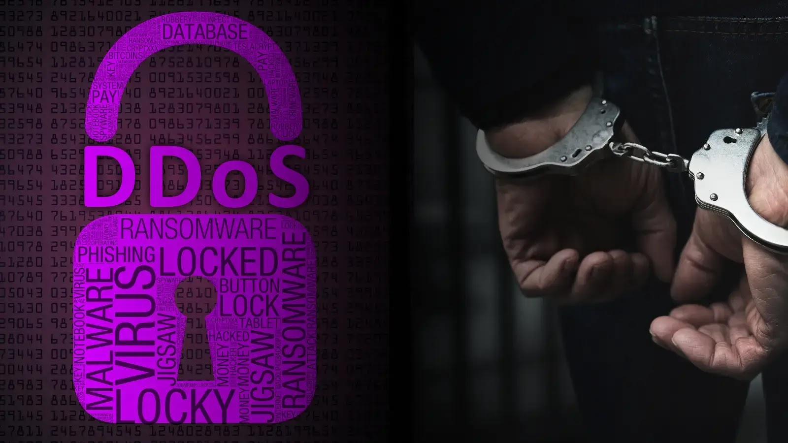 Authorities Arrested DDoS Attack Service Provider