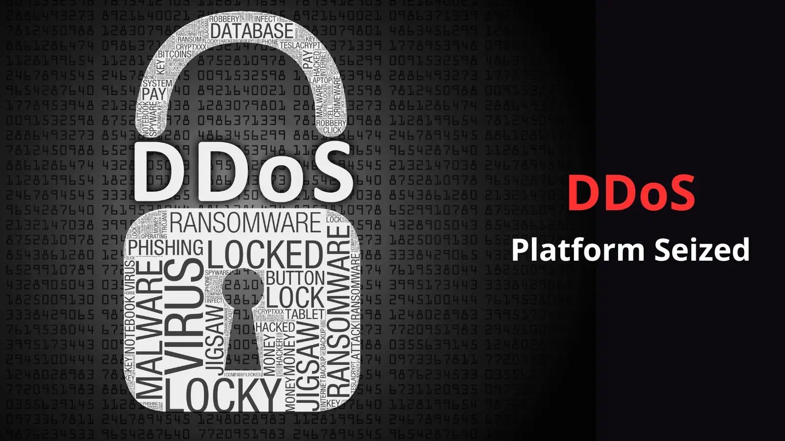 Authorities Seized Platform Used For Paid DDoS