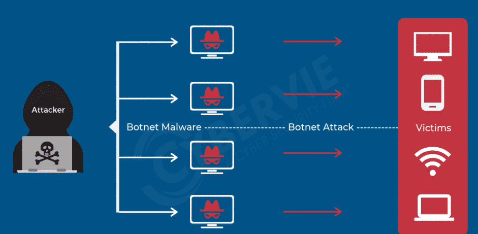 How to Protect Your IoT Devices From Botnet Attacks