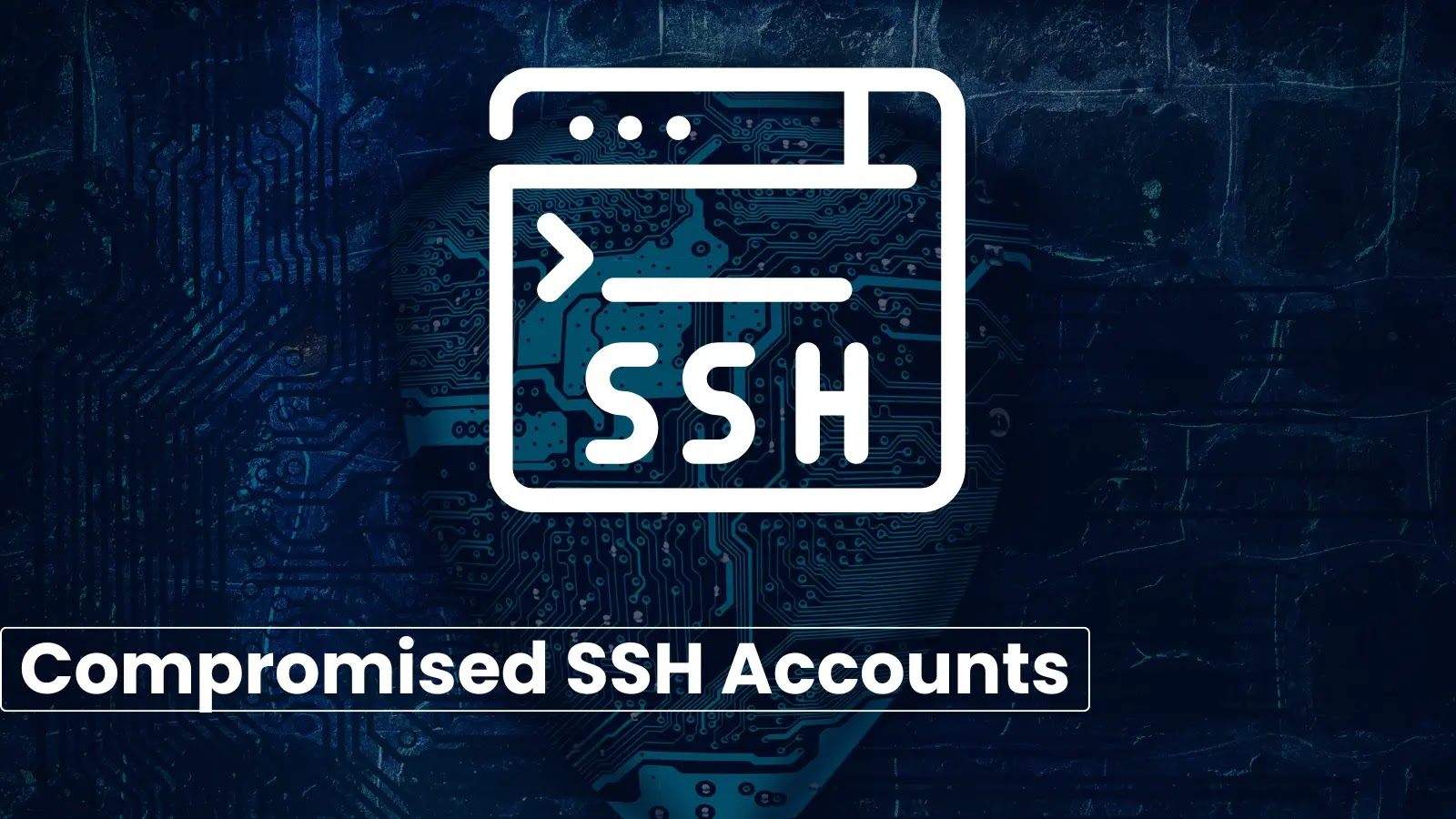Beware! 150+ SSH Accounts With Root Access Advertised On Hacker Forums