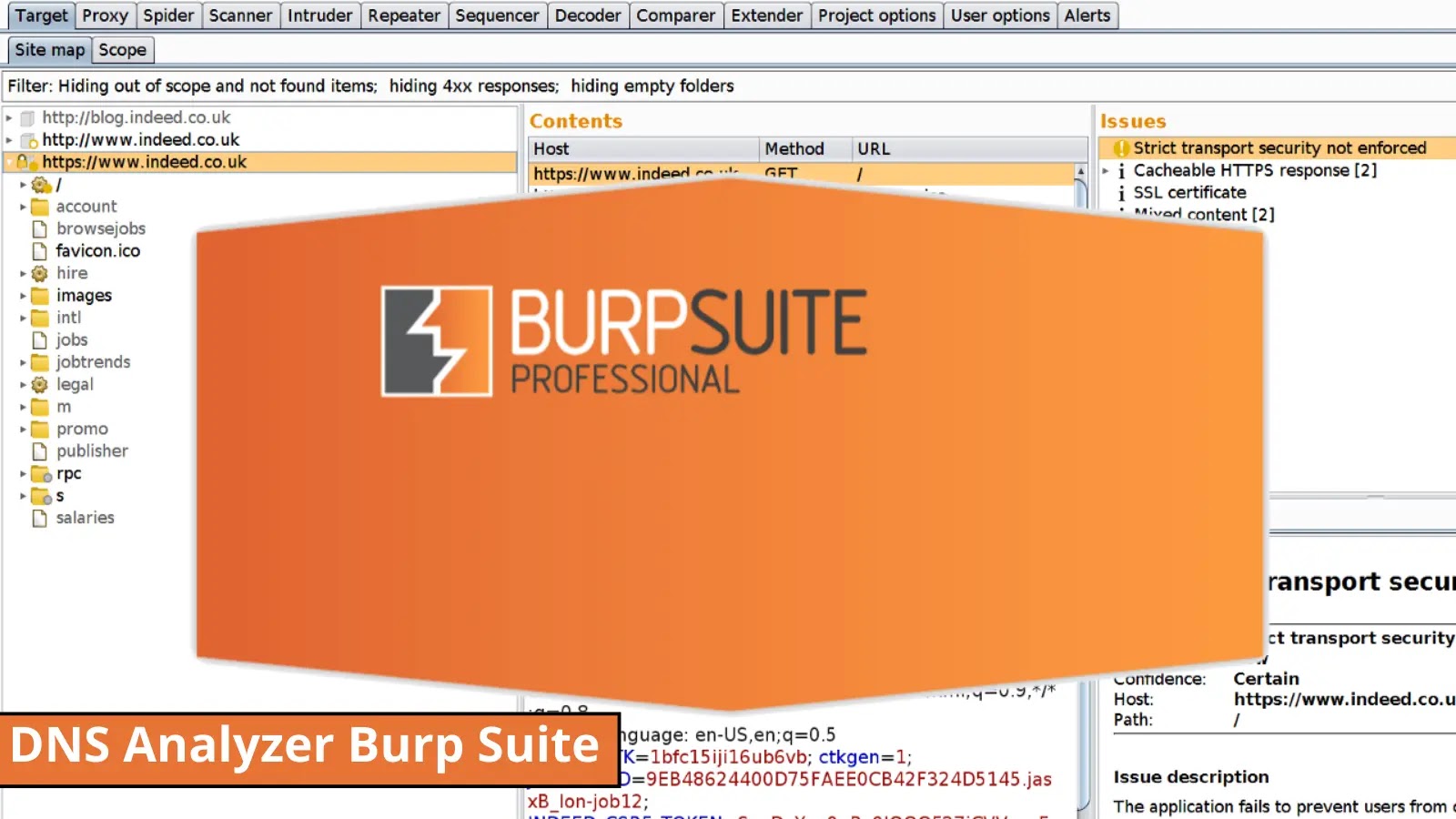 DNS Analyzer: A New Burp Suite Extension to Find DNS Flaws in Web Apps