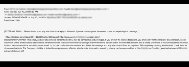 Sample of the phishing mail