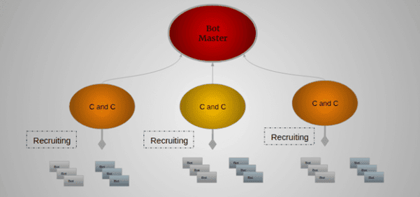botnet architecture