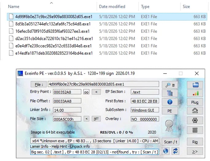 Captured samples and analysis in a PE tool (Source - Fortinet)