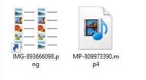 Contents of the archive file (Source - LevelBlue)
