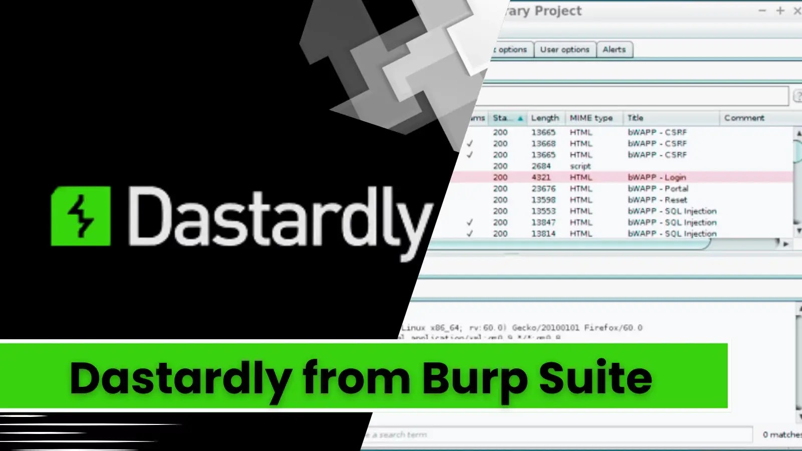 Dastardly From BurpSuite: Lightweight Web App Security Scanner