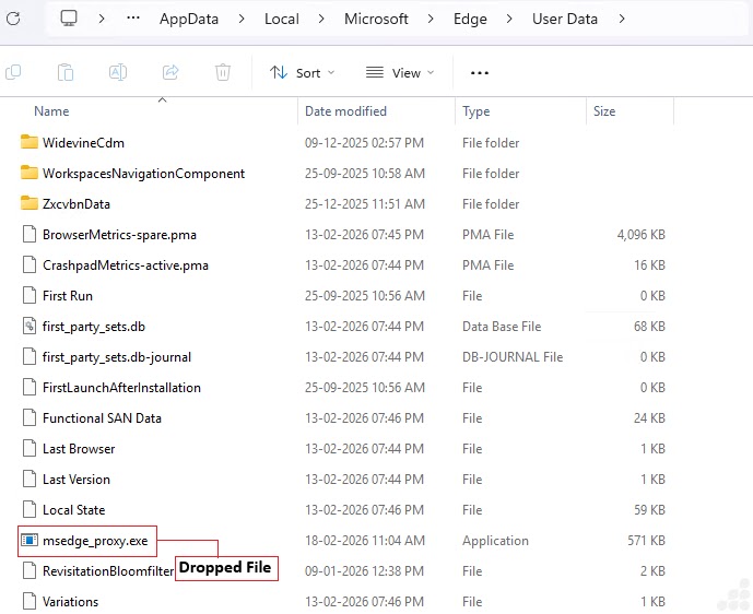 Dropped msedge_proxy.exe file (Source - Point Wild) 