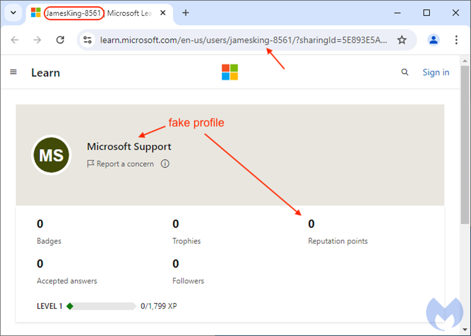 Fake "Microsoft Support" profile