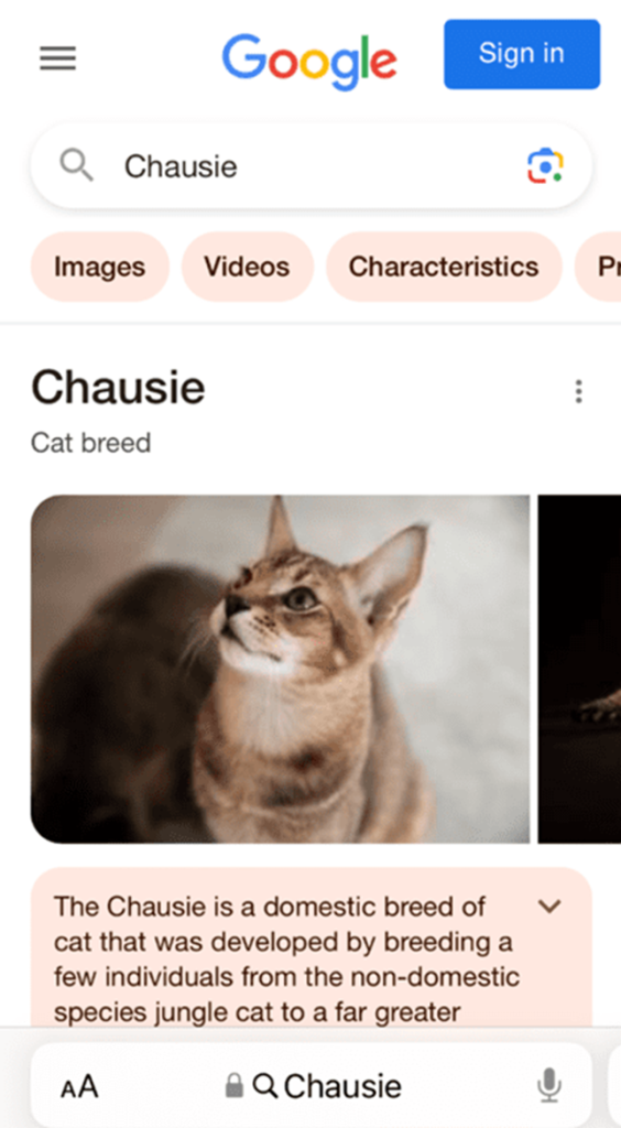 Dracula anti-monitoring redirecting site crawlers to a cat breed