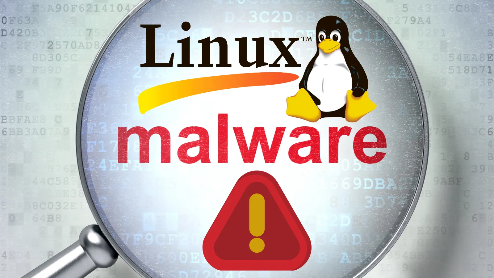 Linux ELF Malware Generator Evades ML Detection With Semantic-Preserving Changes