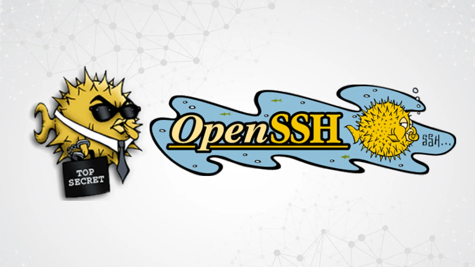 OpenSSH 10.3 Fixes Shell Injection and Multiple SSH Security Issues