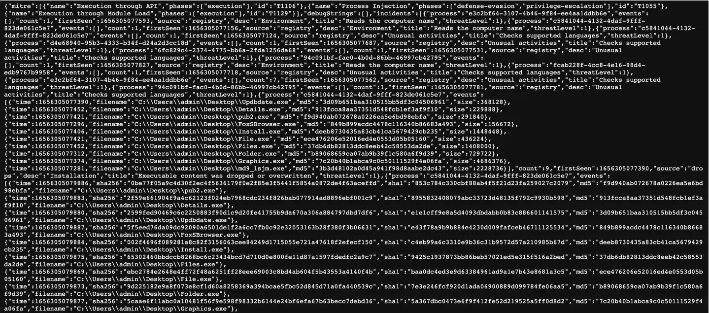 Malware Analysis Report