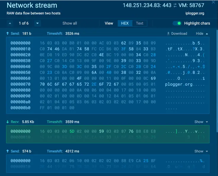 Malware Analysis Report