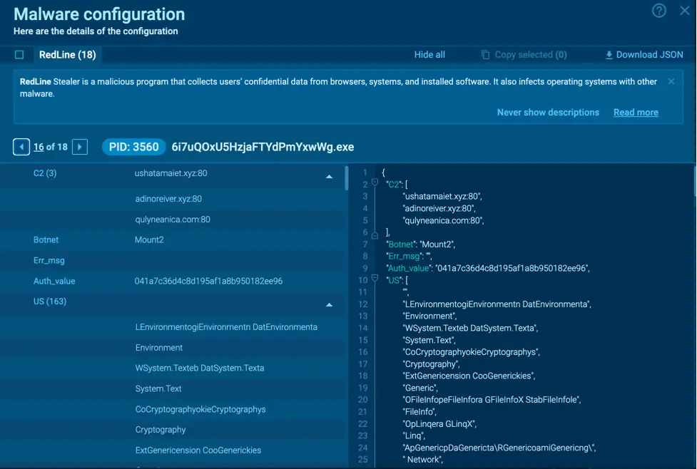 Malware Analysis Report