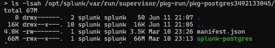 Google searches revealed that all Sidecar Services should be deployed in the same directory( source : watchtowr)