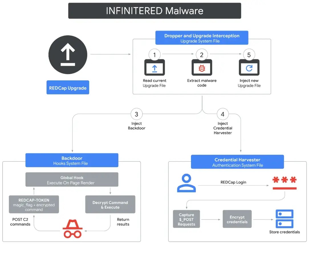INFINITERED diagram (Source: Google)