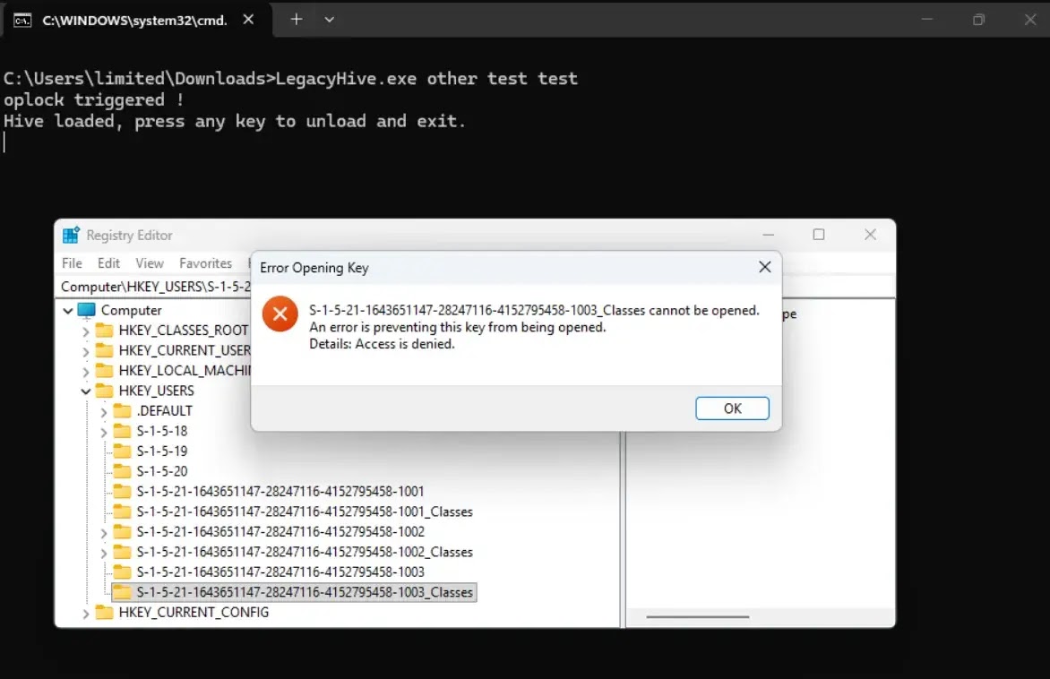 While the tool runs, a new pair of 1003 registry keys is loaded into HKEY_USERS, but their contents remain inaccessible (source : infosec.exchange/@wdormann)