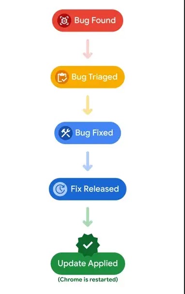 life cycle of a bug ( source : google )