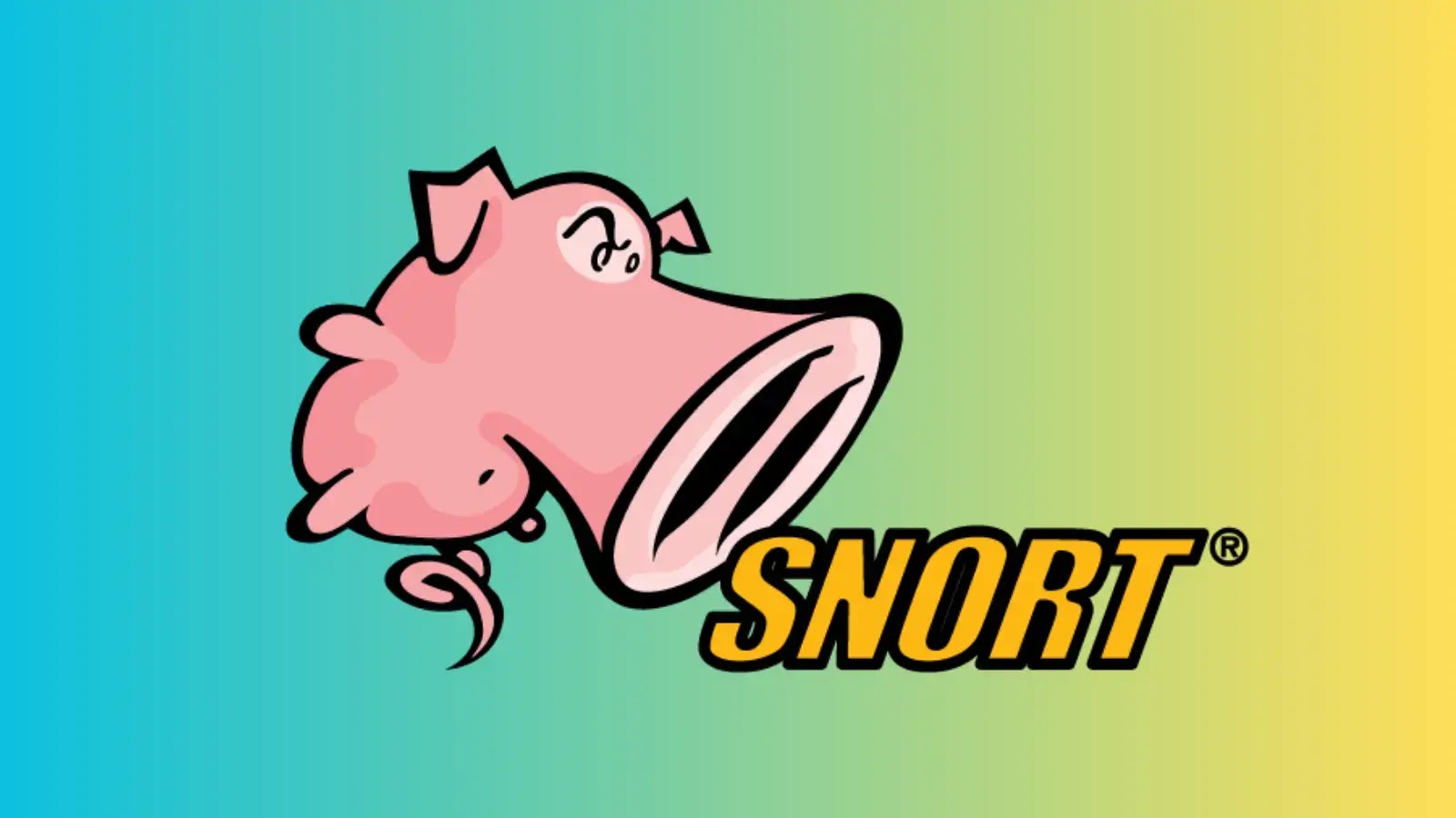 Snort 2.9.8.3 and Snort 2.9.13.0 End of Life for Talos Rules