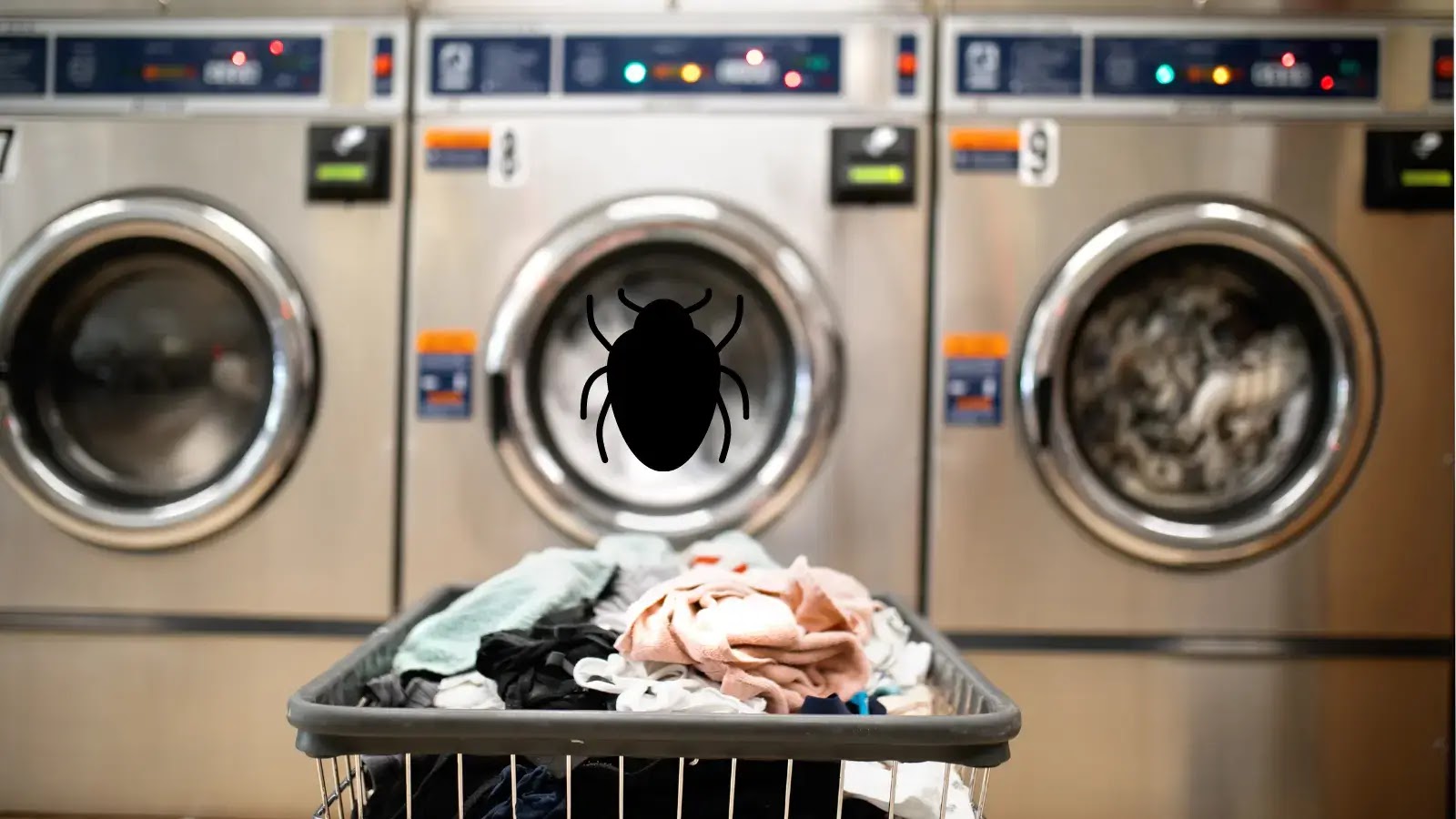 Students Uncover Security Bug That Could Let Millions Do Their Laundry For Free